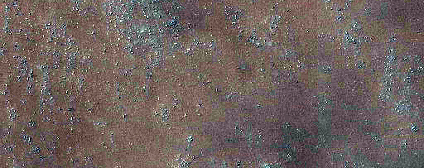 Dune Field