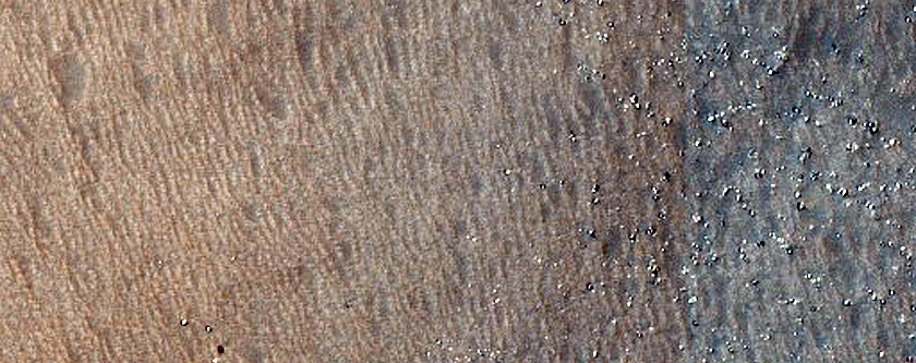 Dune Field
