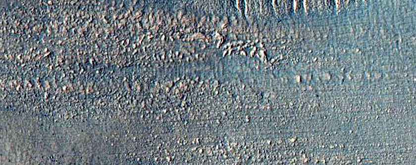 Gully Monitoring