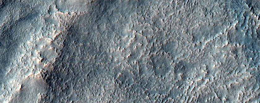 Gully Monitoring