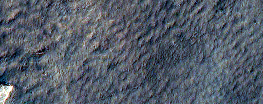 Scarp Monitoring
