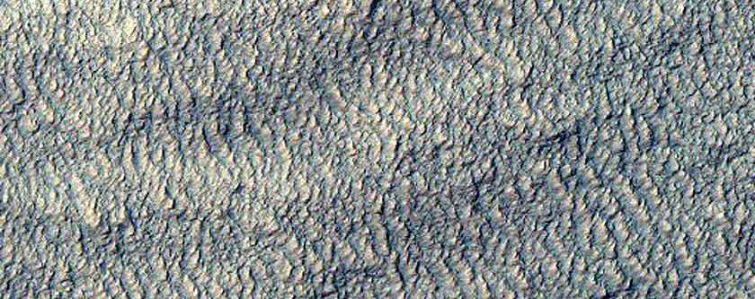Scarp Monitoring