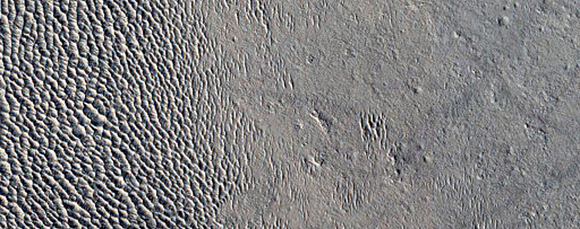 Monitoring New Impact Site 