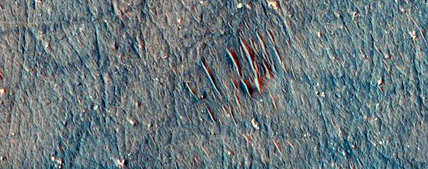Small Barchan Dunes in Northeast Argyre Region