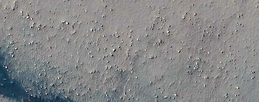 Dune Field