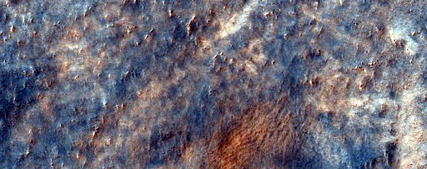 Dune Field