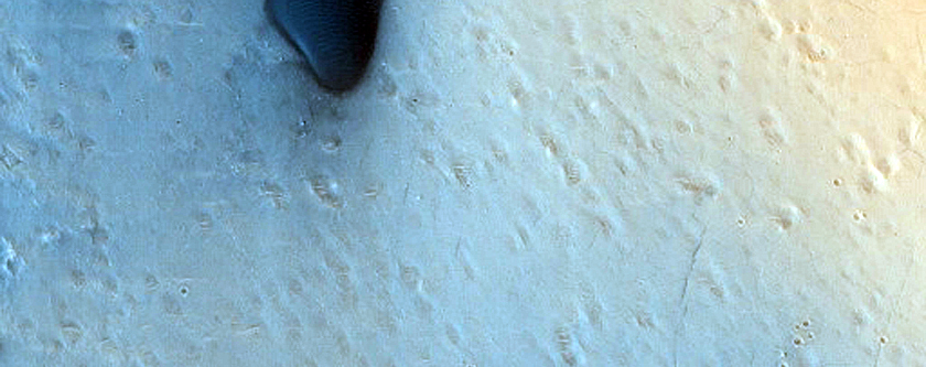 Dune Field