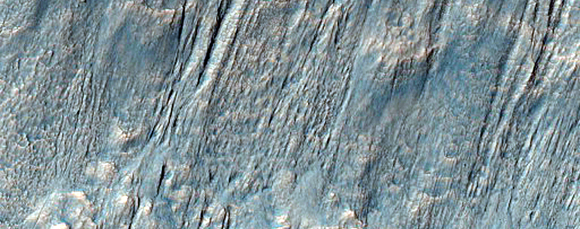 Network of Channels on Rim of Newton Crater