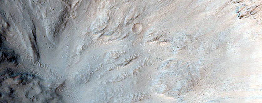 Gully Monitoring