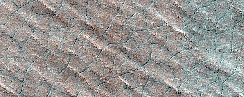 South Polar Perennial Ice Outlier Monitoring