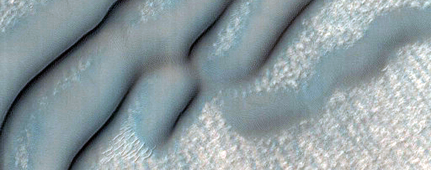 Dune Field