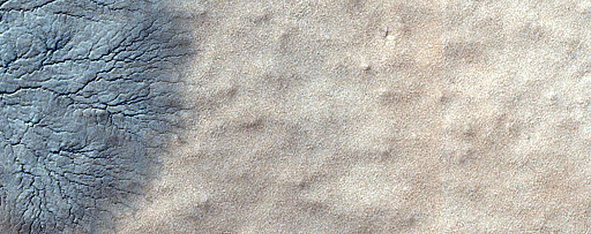 South Polar Cracked and Gullied Site
