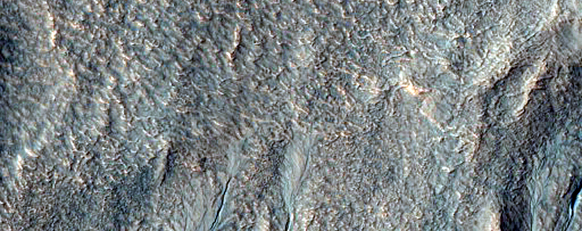 Gully Monitoring