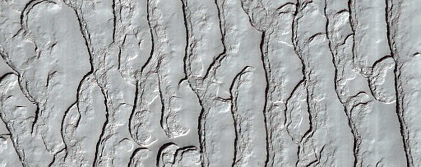 South Polar Residual Cap Site
