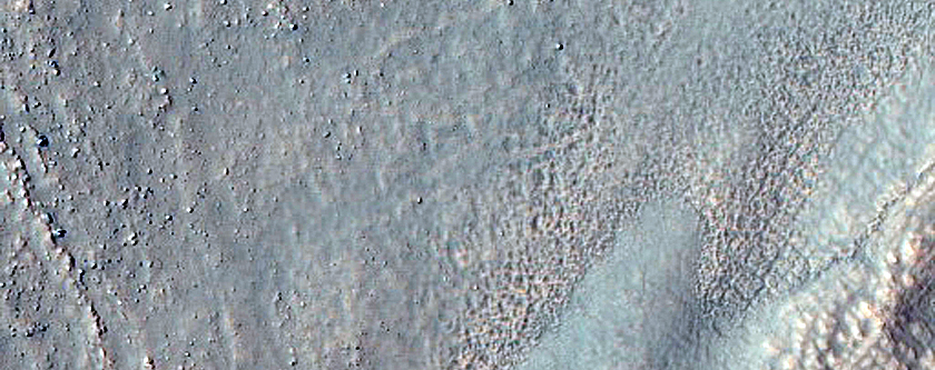 Gully Monitoring