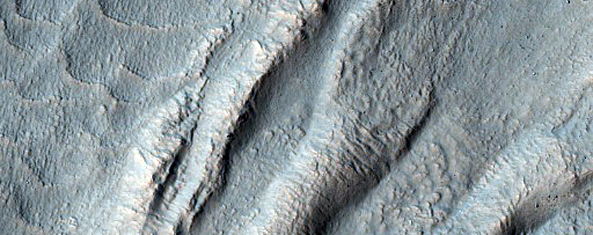 Gully Monitoring