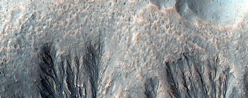 Possible Gully-Associated Light-Toned Materials near Gasa Crater