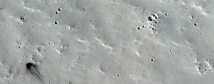 Candidate Recent Impact Site
