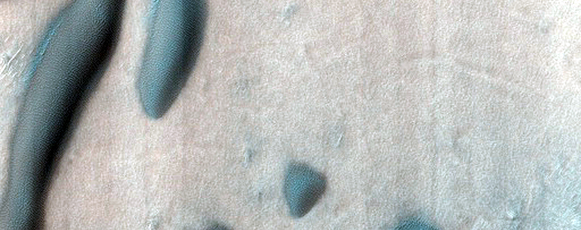 Dune Field Survey