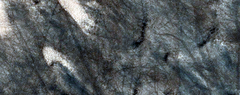 Seasonal Spots in Burroughs Crater