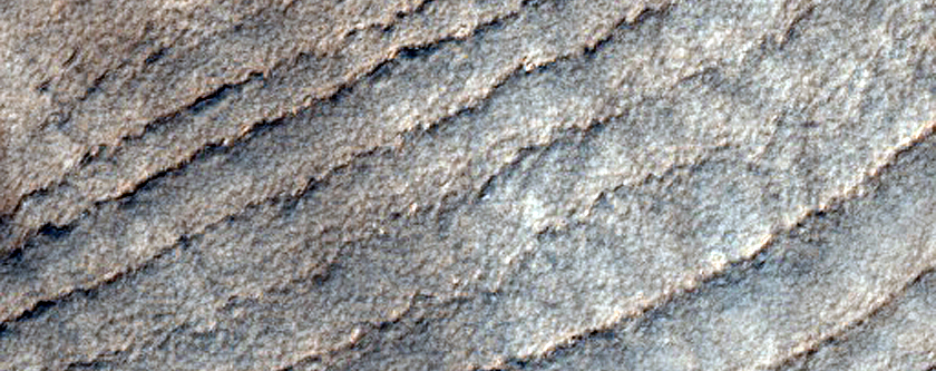Dark Linear Ridges in Southern Highlands