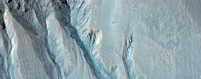 Gully Monitoring