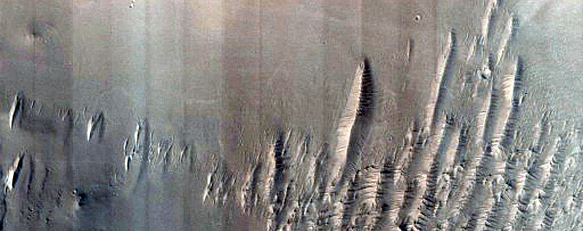 Mid-Latitude Gully