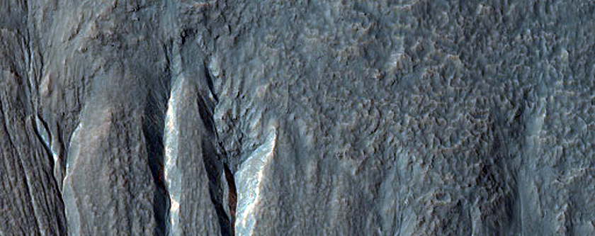 Possible Gully-Associated Light-Toned Materials in Mena Crater