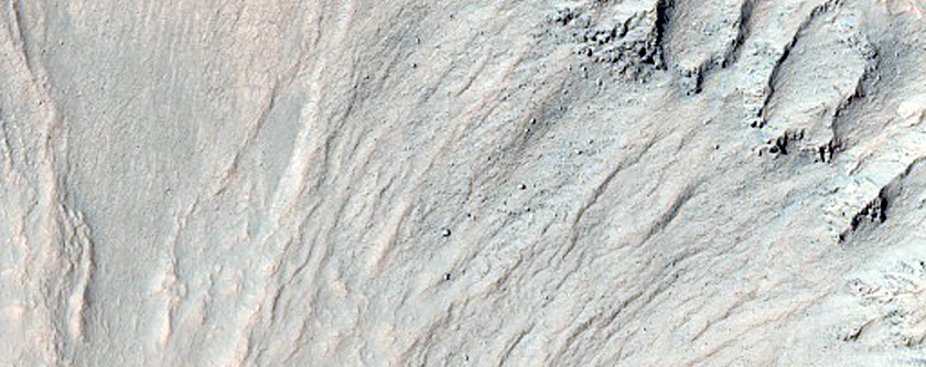 Gully Monitoring