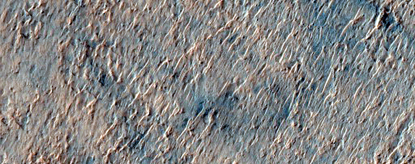 Possibly Olivine-Rich Materials in Eridania Region Basin