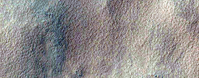 Gully Monitoring