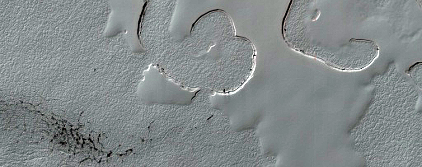 South Polar Residual Cap Monitoring