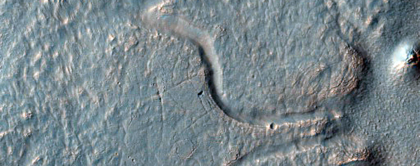 Possible Delta in Nereidum Montes