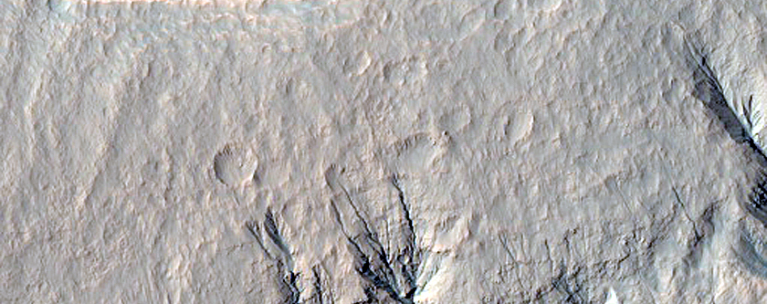 Possible Gully-Associated Light-Toned Materials near Gasa Crater