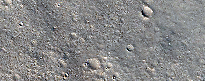 Positive Relief Feature in Nepenthes Planum