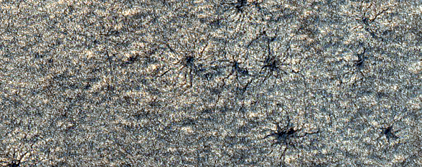 Mellish Crater Spiders