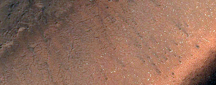 Monitor Defrosting Patterns on Ridges in Site Dubbed Inca City