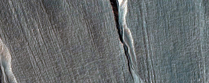 Gully Monitoring