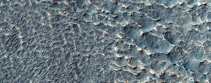 Gully Monitoring