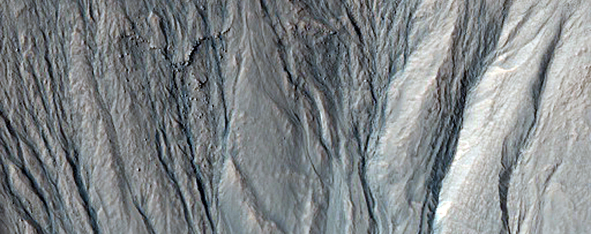 Gully Monitoring