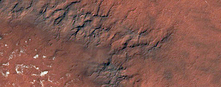 Terrain Sample