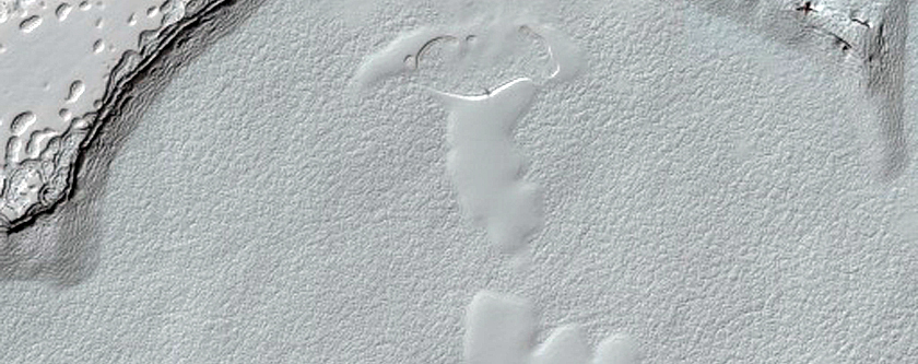 South Polar Residual Cap Monitoring