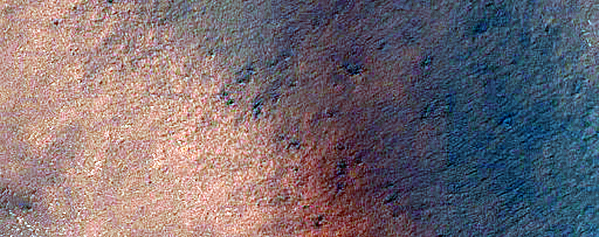 Angustus Labyrinthus
