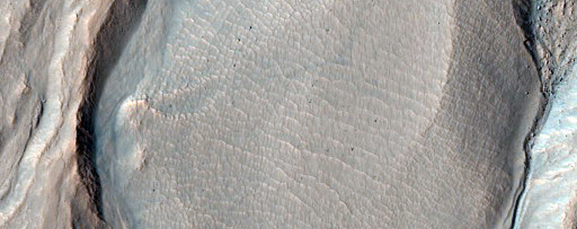 Gully Monitoring