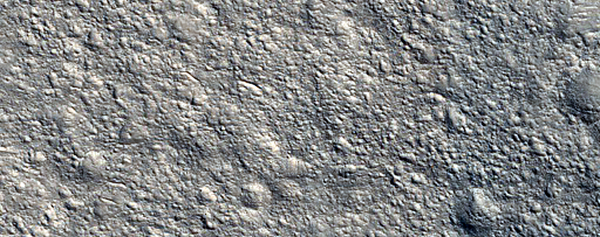 Positive Relief Feature in Nepenthes Planum