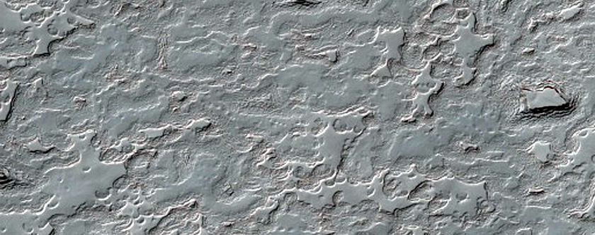 South Polar Residual Cap Monitoring