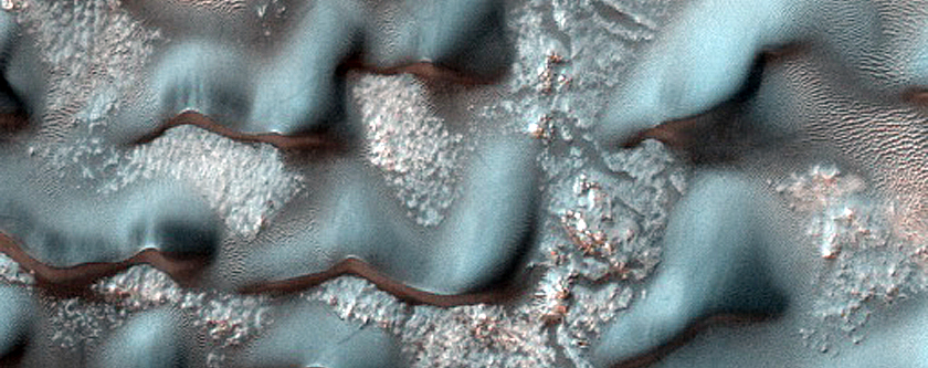 Dune Monitoring in Crater