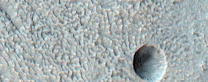 Concentric Crater Fill with Impact Craters