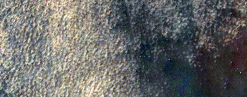 Dune Survey