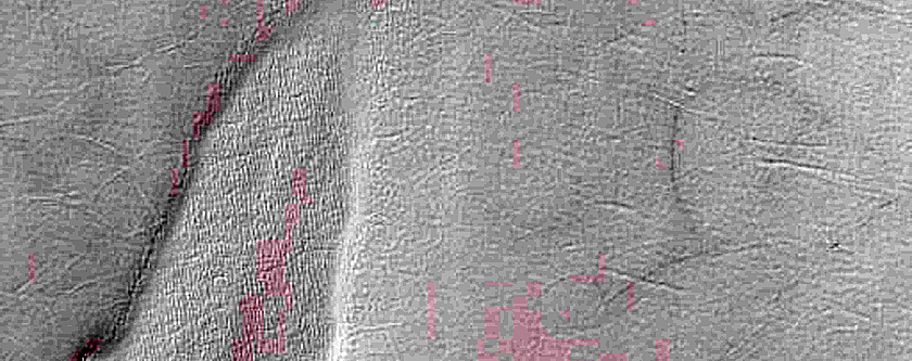South Polar Residual Cap Monitoring